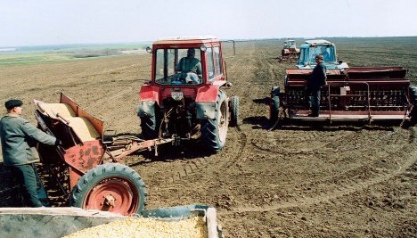 На Кіровоградщині засіяли ранніми зерновими першу тисячу гектарів