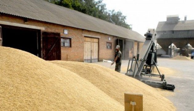 Agrarian Policy Ministry: 52.5 mln tons of grain and leguminous crops harvested in Ukraine