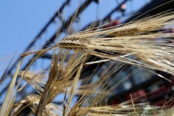 Ukrainian farmers gathered 1.4M tonnes of grain of new harvest  
