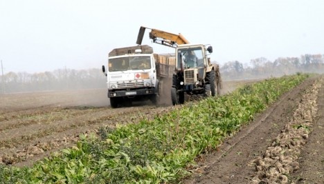 Ukraine completes sugarbeet harvest