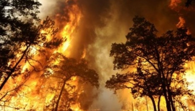У горах Франції вже згоріли 900 га лісу