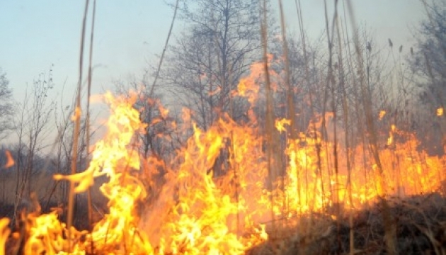 У заповіднику 