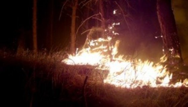 Generalstab: Russische Söldner haben Felder und Wald im Donbass absichtlich in Brand gesetzt