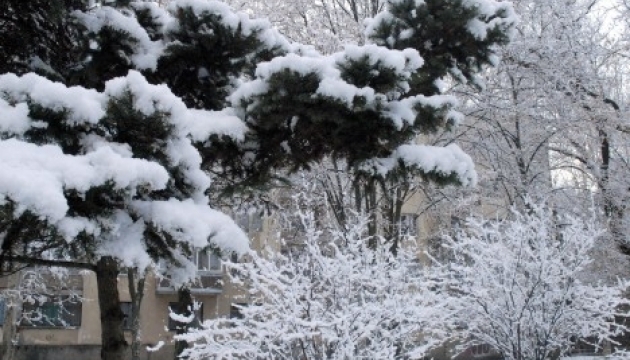 На півдні Японії випав сніг - вперше за 115 років