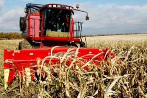 Rozpoczęły się zbiory na południu – rolnicy zbierają jęczmień ozimy i groch