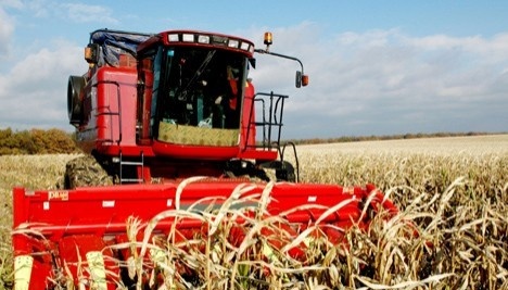 Ukraine already harvested 62.5M tonnes of grain and leguminous crops