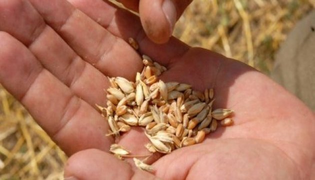 PAM : l'ONU a acheté 40 000 tonnes de blé ukrainien pour l'Afrique