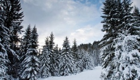 Ukraine’s Emergency Service warns of high avalanche risk in Carpathians