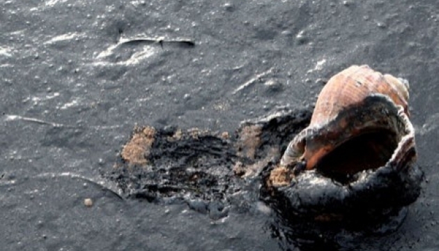 Під Одесою масштабний розлив нафти, пляма більш як 840 тис. кв. м