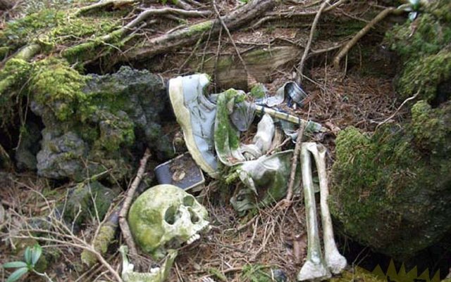 ТОП-10 найстрашніших місць на Землі ТОП-10 найстрашніших місць на Землі. ФОТОРЕПОРТАЖ