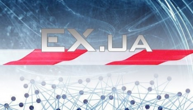 Hryshchenko's adviser proposes gradually legalizing file hosting service Ex.ua