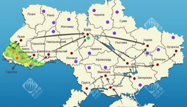 Первоцвіти: бізнес на знищенні природного багатства. ІНФОГРАФІКА