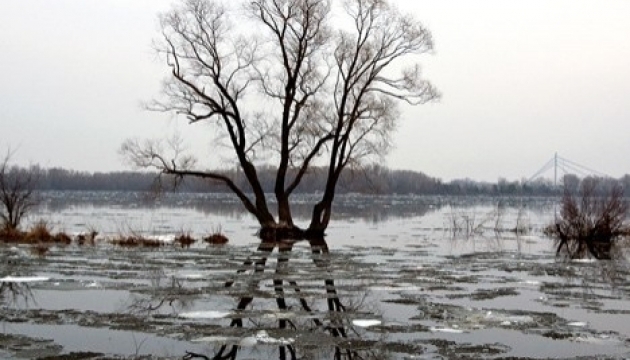 Річки України затягує кригою