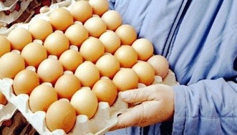 Ucrania y Serbia acuerdan los certificados veterinarios para la exportación de huevos