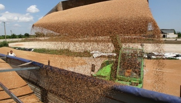 Україна може прогодувати 600 млн людей – Козаченко