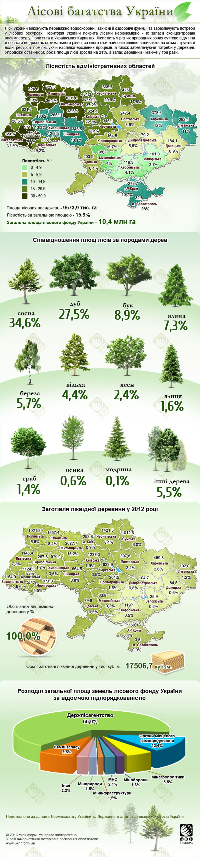 Лісові багатства України.Інфографіка