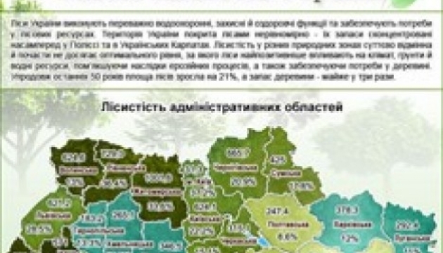 Лісові багатства України. Інфографіка