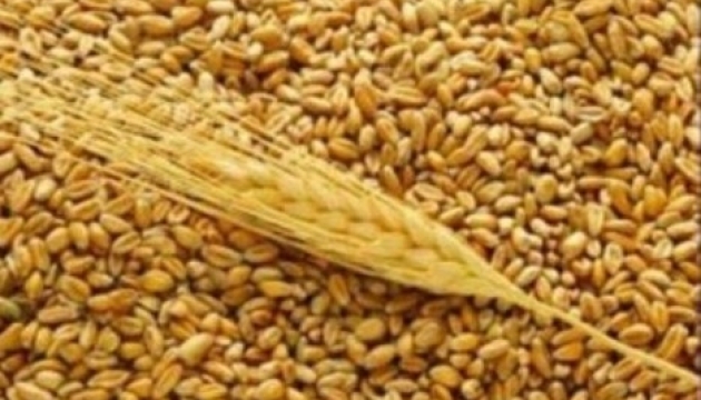 Ucrania, Rusia y Kazajistán crearán el pool de cereales