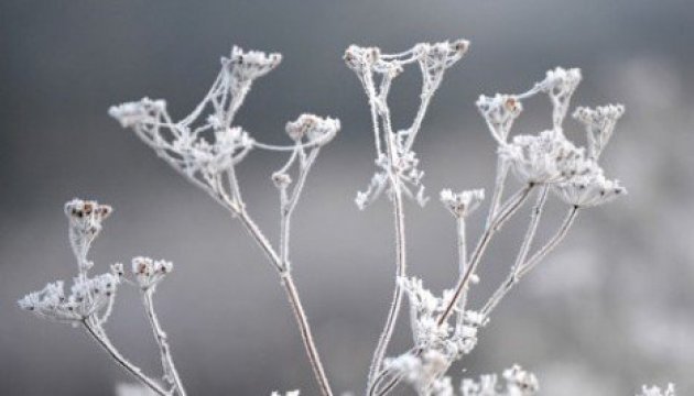 Frosts expected in Ukraine on Wednesday – State Emergency Service