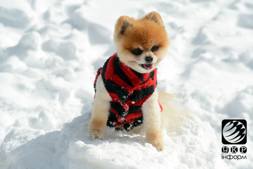 Штат, народжений у боях, запрошує в казку. Фото