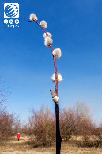 Рання весна вдихнула у квіти життя. Фото