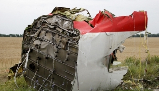 MH17 trial: Hearing lasts less than hour, next scheduled for June 8
