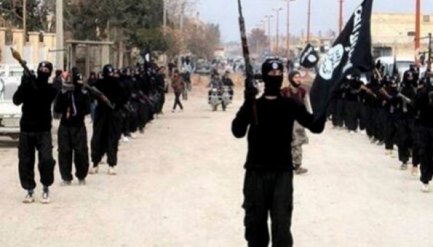 МЗС Нідерландів: Сухопутна операція проти ІДІЛ була б помилкою