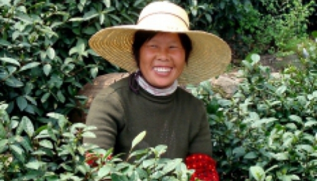 Навіщо китайцям забайкальська цілина?