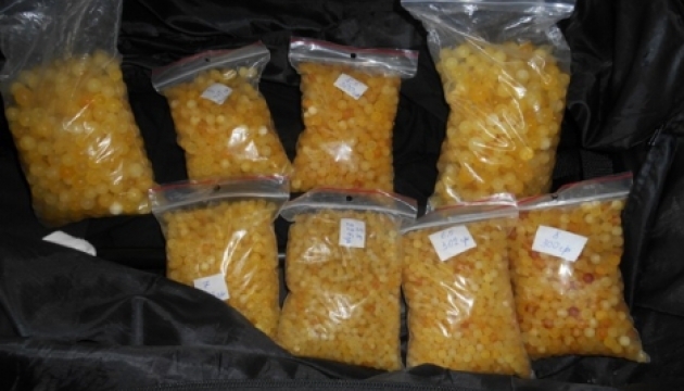 На Закарпатті затримали контрабанду бурштину більш як на 5 мільйонів