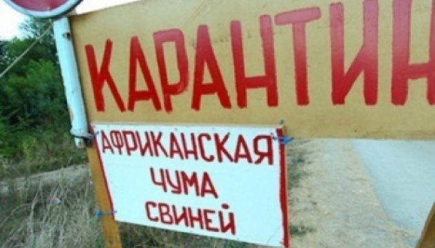 Спалах чуми свиней на Київщині розслідує міліція. Не виключають і диверсії