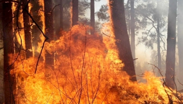 Fire hazard remains high in some regions of Ukraine 