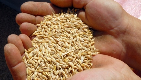 Ukrainian farmers already threshed 3.5 mln tonnes of early grains in 15 regions