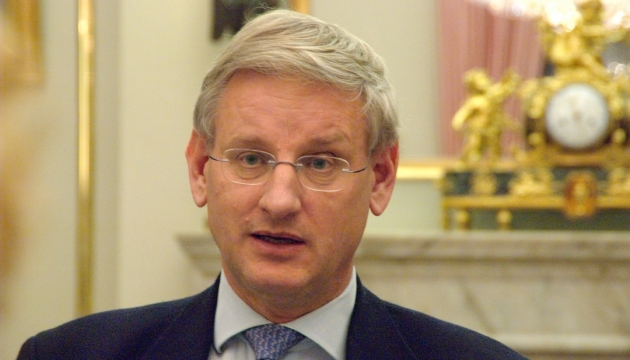 Putin needs 'truce' till December - Bildt