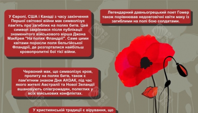 Символом полеглих у Другій світовій українців стане червоний мак. Інфографіка