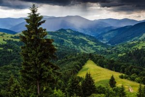 Безлюдная весна в Карпатах