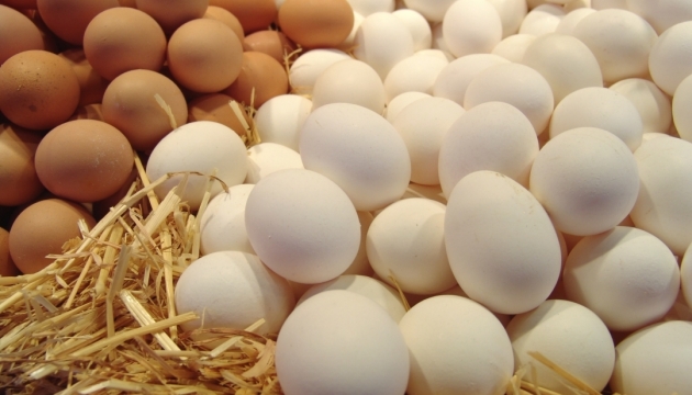 Ukraine exports first two million eggs to Israel