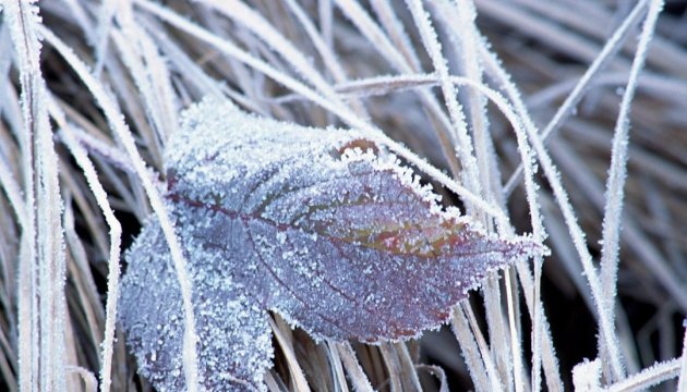 На більшості територій України прогнозують заморозки