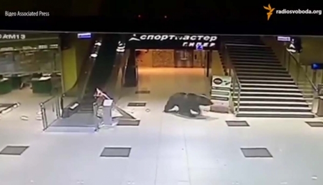 В Росії розстріляли ведмедя, який увірвався до торговельного центру