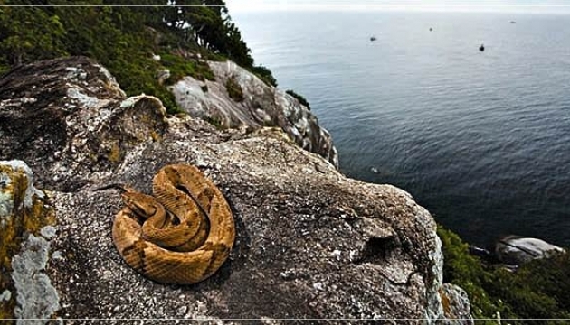 Унікальні місця: Острів смерті