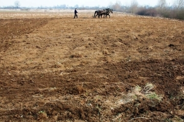 Тергромади вже отримали в своє розпорядження 1,7 мільйона гектарів сільгоспземель