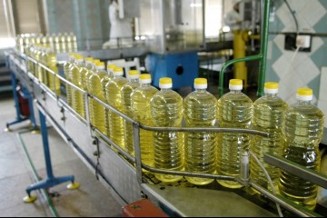 Ukraine’s sunflower oil production returns to record level - experts