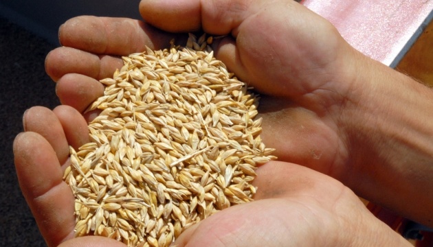 Ukraine ready to replace Russia in Turkish grain market