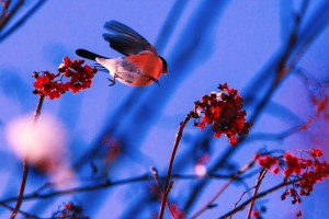 Яку погоду приніс в Україну антициклон: синоптики дали прогноз на тиждень