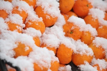 Відкриваємо сезон мандаринів та гірлянд у перші вихідні зими