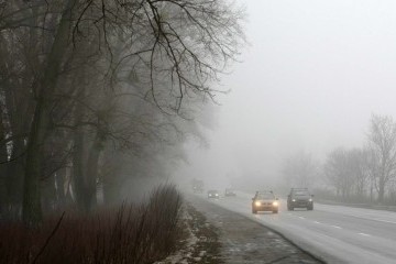 В Україні завтра - туман і до 13° тепла
