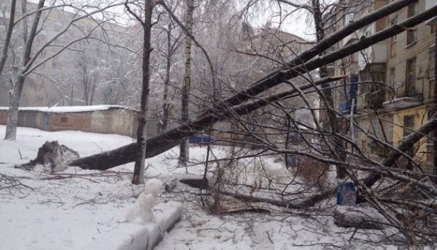 Харківський снігопад повалив 750 дерев і зірвав хокейний матч