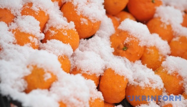 Відкриваємо сезон мандаринів та гірлянд у перші вихідні зими