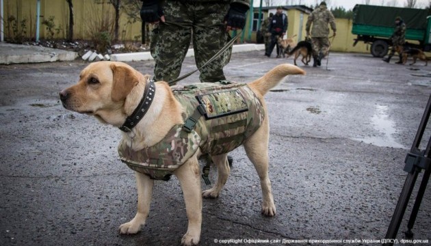 На Луганщині службових собак вдягли у бронежилети