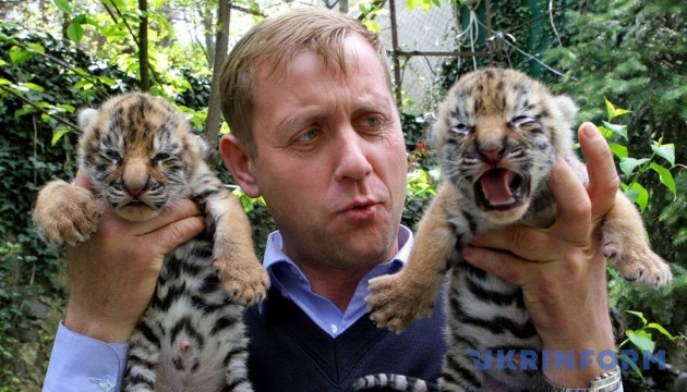 У Криму закривають два зоопарки. Тварин можуть вивезти в Росію
