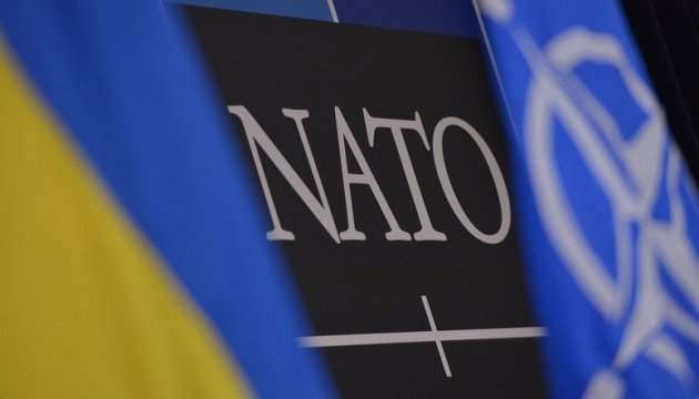 НАТО не приєднається до військової операції в Сирії   